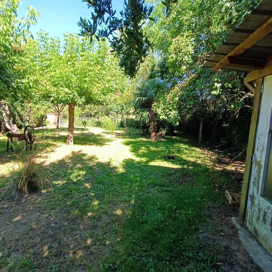 La Maison Des Martinettes Villa Etauliers Bagian luar foto